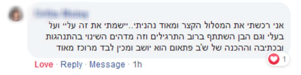 המלצה 2