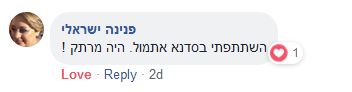 פנינה ישראלי אסטרטגיות למידה אשדוד